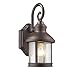 RADIANCE Goods Transitional 1 Light Rubbed Bronze Outdoor Wall Sconce 12