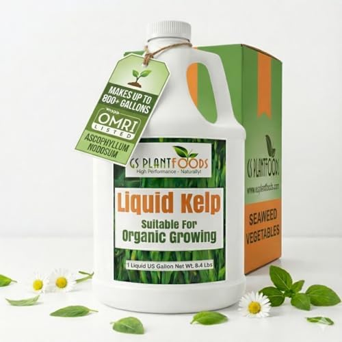 GS Plant Foods Liquid Kelp Fertilizer – Suitable for Organic Growing, OMRI Listed Seaweed Concentrate for Lawns, Gardens & Soil - 1 Gallon (Makes Up To 800+ Gallons)