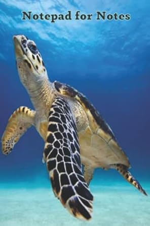 Sea turtle notepad | Amazon.com.br