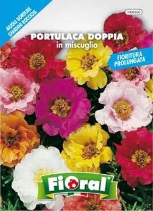 Semillas de flore de excelente calidad, en bolsita para aficionados