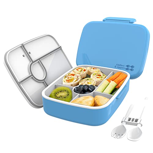 tiddlers & nippers 5 Compartment Lunch/Bento Box for Kids & Adults!, Plain Blue, 22cmx18.2cmx6.6cm
