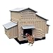 SnapLock Formex Large Chicken Coop Backyard Hen House 4-6 Large 6-12 Bantams
