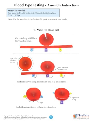 NewPath Blood Type Testing 3D Model Making Kit - Individual Student Edition (24-7782)