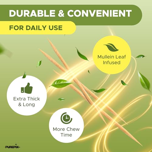 Image of Mullein Pix Flavored Toothpicks Infused with Mullein Leaf, Extra Thick Natural Alternative to the Hand-to-Mouth Habit, 2 Pack 5 Flavor Variety, Plant-Based Herbal Sticks, Nicotine Free, Kosher Vegan