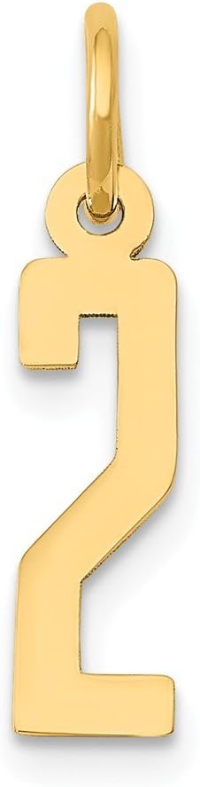 14K Yellow Gold Small Polished Elongated 0 Charm