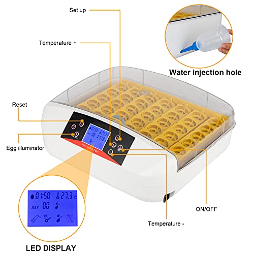 Kcelarec Incubators for Hatching Eggs, Fully Automatic with LED Lights Poultry Hatching Machine with Automatic Egg Turner, Quail Egg Incubator, Incubator for Chickens, Ducks, Quails Eggs (42-Egg) - Thumbnail 5