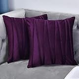 NianEr Decorative Plush Velvet Throw Pillow Covers Sofa Accent Couch Pillows Set of 2 for Bed Living