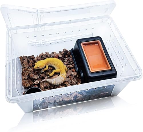 |[^u঒ރP[W - wrɐBEa{bNX/AReiitgAIqQgJQEgJQENEJGET\EΉj (zCg, Mi27x19x12cmj)