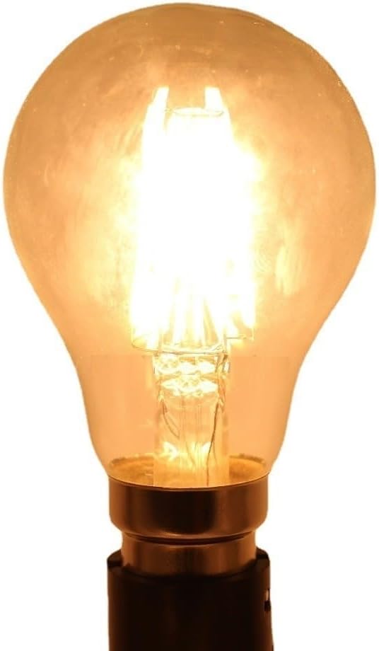 Fengyan Home Bulbs 20pcs/lot AC220V Led Bulb Edison Warm White A60/A19 Clear Light B22 8W 2700K Pendant Light Household Lamp