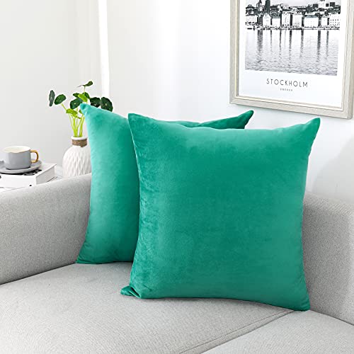 NiNi ALL Aqua Green Velvet Throw Pillow Covers 20x20 Pack of 2 Decorative