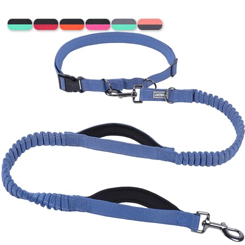 VIVAGLORY Guinzaglio Senza Mani per Cani con Bungee Anti-Shock Avanzato Doppio, Guinzaglio Riflettente per Vita Regolabile per Allenamento e Jogging, Blu Marino/Nero