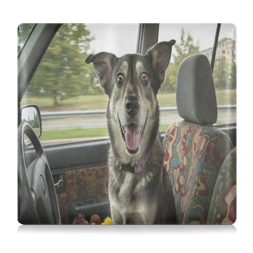 Organizador de Documentos para Auto Slim miniatura 1