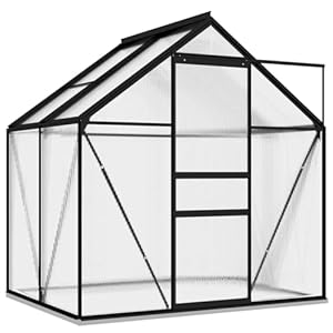 vidaXL Gewächshaus UV-beständig Wärmeisolierend Treibhaus Tomatenhaus Frühbeet Garten Pflanzenhaus Gartenhaus Anthrazit Aluminium 2,47m²