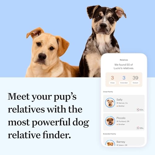 wisdom health essential dog dna kit  most accurate test  365 breeds  30 genetic health conditions  50 traits relatives ancestry  pack of 1