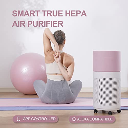 Cleanforce Rainbow H13 True Hepa Air Purifier For Home Large Room, Bedroom, Up To 2550Sqft, Smart App-Control Air Quality Monitor, Filters Dust Pollen Smoke Odor Vocs #TOP2
