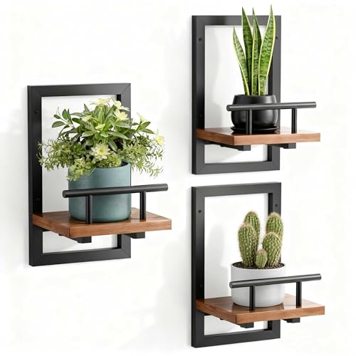 Image of Sbosbo Floating Shelves for Wall, Plant Shelf Indoor, Wall Planters for Indoor Floating Plant Shelves for Bedroom, Living Room, Kitchen, Office, Bathroom Decor (3 Pack)