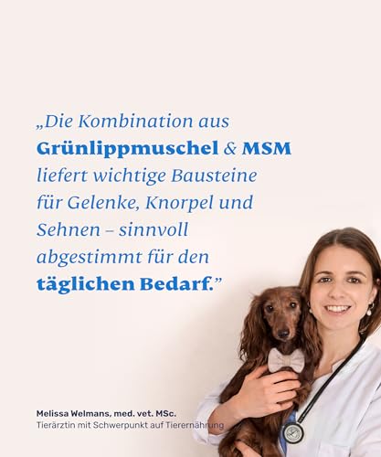 mammaly Grünlippmuschelpulver + MSM Gelenke für Hunde (reicht ≈60 Tage) – Ansicht 6