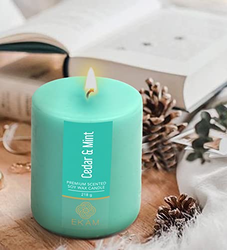 Image of EKAM Cedar & Mint Pillar Soy Wax Scented Candle, 218 Grams, 30 Hours Burn Time, Long Lasting Premium Candles, Ideal for Home Decor, Gifting & Aromatherapy