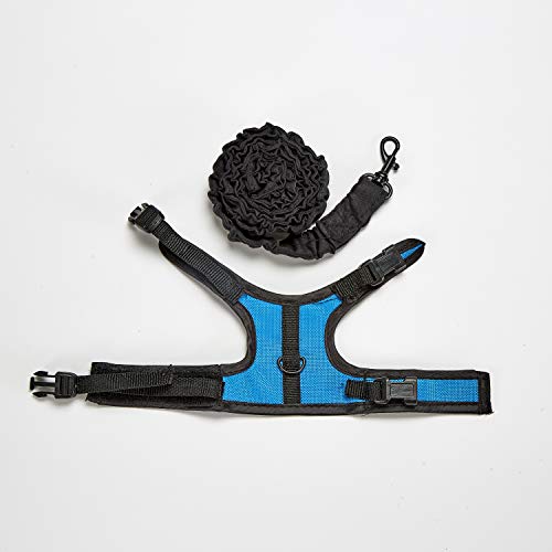 Kaytee Comfort Harness And Stretch Leash Small - Image 4