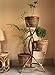 ZILVER: Living with Nature Handcrafted Natural Cane Flower Pot Stand for Living Room