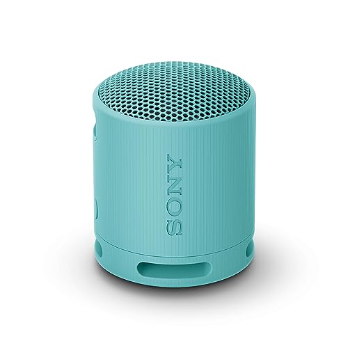 Altoparlanti e impianti Hi Fi in offerta Sony SRS-XB100 - Speaker Wireless Bluetooth, portatile, leggero, compatto, da esterno, da viaggio, IP67 resistente acqua e polvere, batteria da 16 ore, cinturino versatile, chiamate in vivavoce - blu