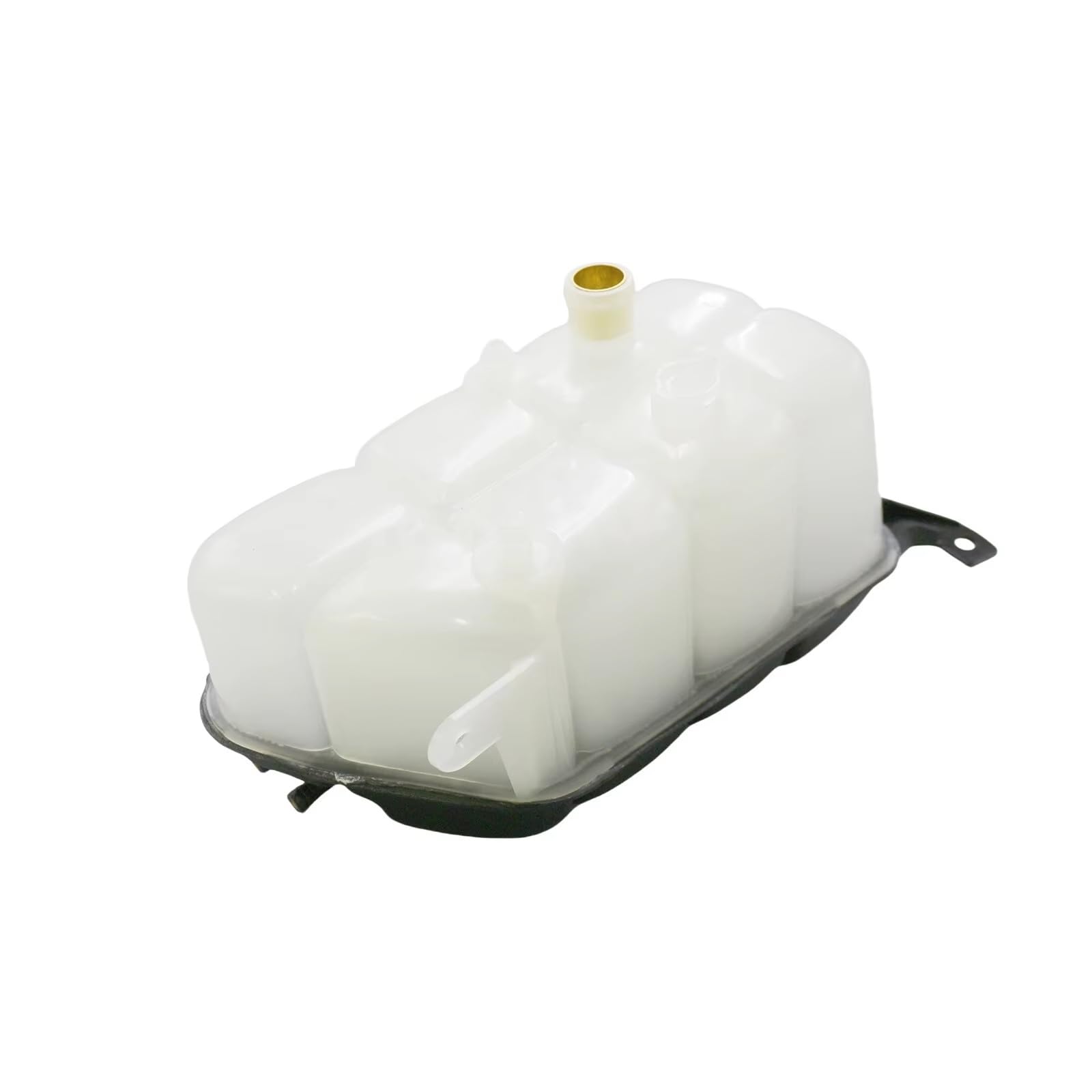 Serbatoio Espansione Compatibile Con Benz Per W220 Per S500 2000-2006 Serbatoio Serbatoio Radiatore Liquido Raffreddamento Auto Con Tappo radiatore del motore