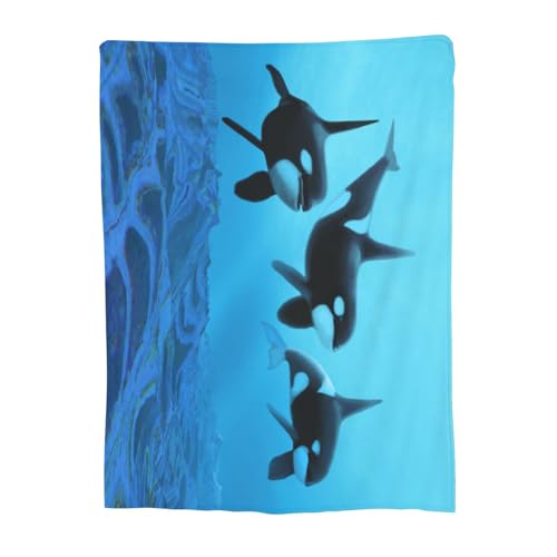 ѕz T V` Cm  Aj Ђ| y  uPbg tl 􂦂 ÓdCh~ g _炩 Ȃ߂炩ȔG lGKp 100cm×125cm