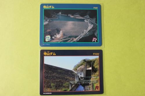 ���R�_���FVer11�i2012.3�jVer30�Ȗ،��_���J�[�h