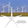 Wind Turbine, 8000W Small Wind Generator Blade Horizontal Home Wind Turbines Generator Power Parts Turbines Kit for Marine Home Charging