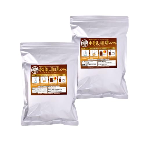 澤井珈琲 コーヒー 専門店 アイスコーヒー 水出しコーヒー 銅の 水出し珈琲パック テルスブレンド 1袋10パック入り×2 セット