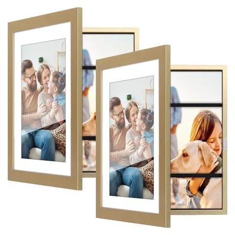 Toner Depot 2 Pack 8x10 Picture Frame, Quick-Change Photo Storage Display Frame for Wall and Tabletop Display, Photo Picture Frame with Clear Display (Gold) Cover