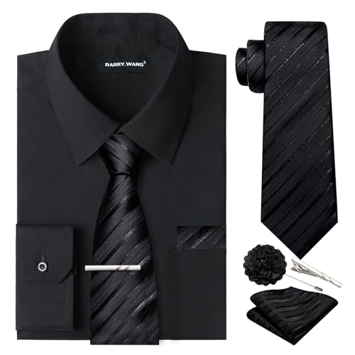 Barry.Wang Mens Dress Shirt and Tie Set