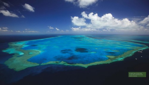 Reef Life: A Guide to Tropical Marine Life - Image 7