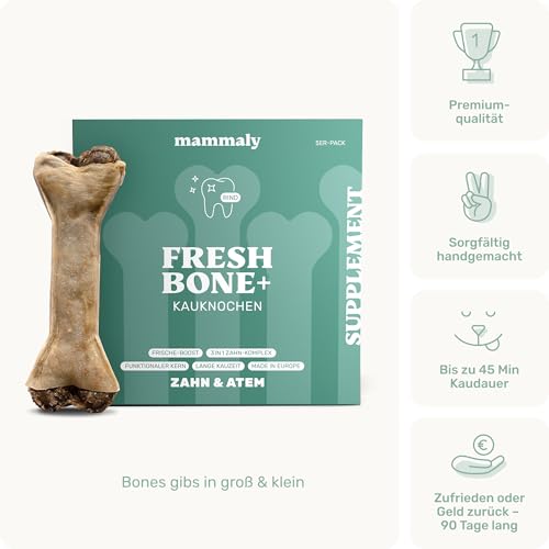 4-in-1 Zahnpflege-Kauknochen - Fresh Bone+ 1x Kauartikel (12cm) von mammaly - Kaustange aus Rinderhaut mit Salbei, Minze & Grüner Tee u.v.m. zur Mundhygiene - Kauspielzeug / -Knochen gegen Mundgeruch
