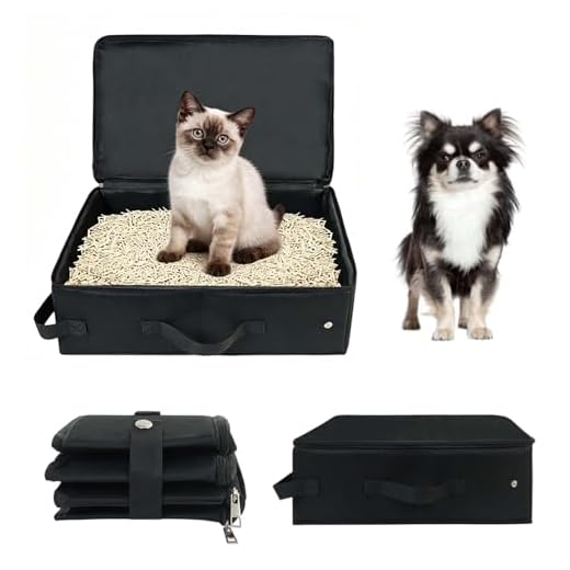 Caja de arena para gatos de viaje con tapa, plegable, portátil, impermeable, para viajes, para interior y exterior, camping, viajes (negro)