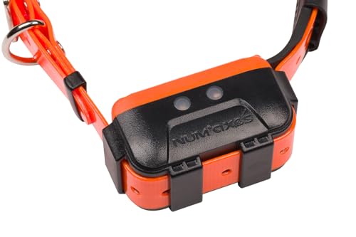 Collier GPS - NUM'AXES - CANICOM GPS 2 - Collier seul - Noir / Orange