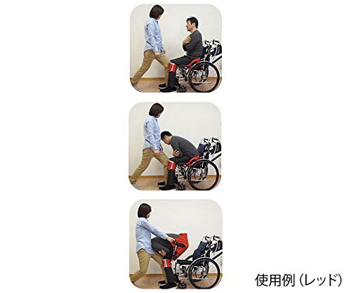 Amazon.co.jp: エナジーフロント リフティ + ピーヴォ セット レッド