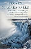 Frozen Niagara Falls: Witness the Majestic Niagara Falls Transformed by Winter, Encased in Ice and Shimmering with Frozen Splendor