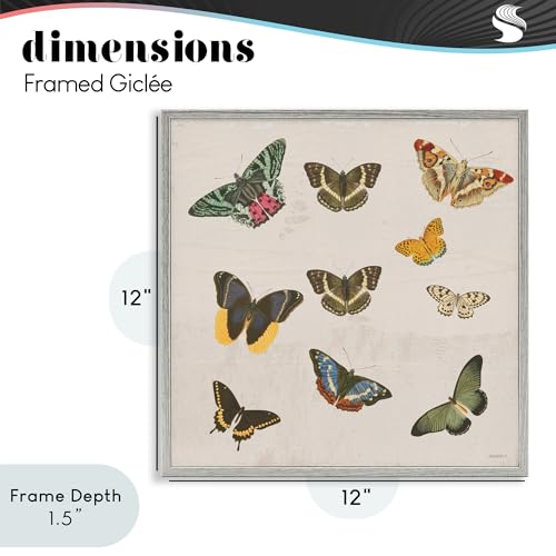 Poster encadré papillon gris robuste Stupell Industries - 5
