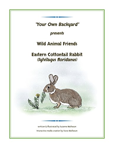 Eastern Cottontail Rabbit: (Sylvilagus floridanus) (English Edition)