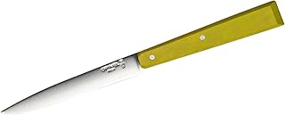 Opinel 254260 Countryside Spirit - Cuchillo de mesa, color verde y plateado