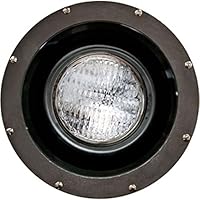 Algopix Similar Product 17 - Dabmar Lighting FG4310 Fiberglass 70W
