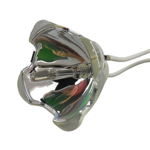 Lampe DT00691 résout l'image terne sur CP-HX4090 et X445