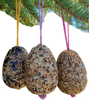 Birdseed Ornaments for Outside - Set of 3 for Wild Birds - Wild Bird Treats - Large Egg-Shaped Hanging Birdseed Ornaments