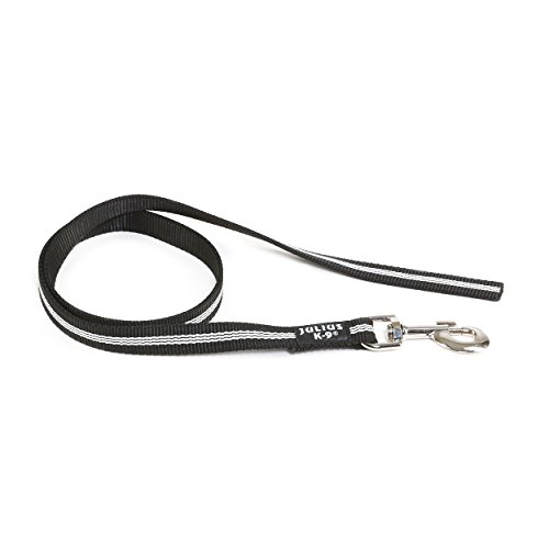 EXP[iC (Julius-K9) IDC[h(nhȂ) ubN 19mm×1m