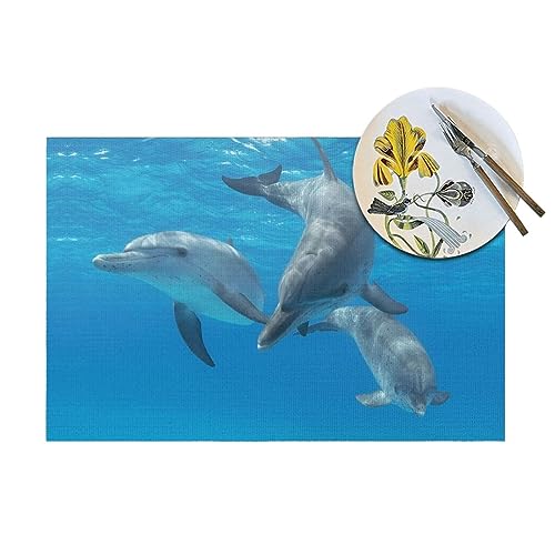Ensemble de sets de table tissés décoratifs et durables pour une table élégante