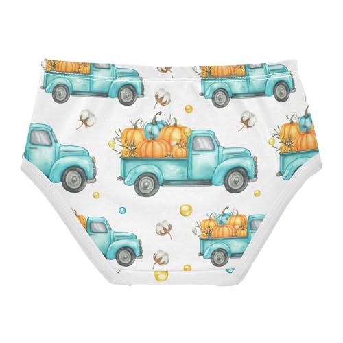 Girls Underwear Toddlers 2t Cotton Little Girl Panties Stylish Briefs Underpants Vintage Trucks Pumpkins White2