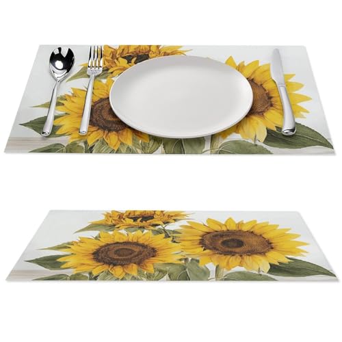 Set de table PVC lavable pour éliminer les taches de table - 2