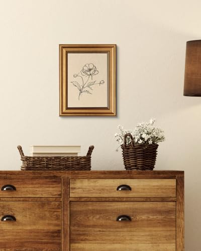Image of VIYYIEA Vintage Gold Framed Wall Art for Living Room, Poppy Canvas Prints Home Decor, Sketch Painting Picture, Bedroom Wall Decor Gifts for Friends or Family -【Poppy】-(10L x 8W)