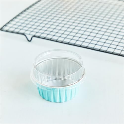 A~P[LĂJbv 100 AfUCEWt[X A z_[tĝă^CvADearollingA v AZE啟Evpی^ AĂ[Xp (F)